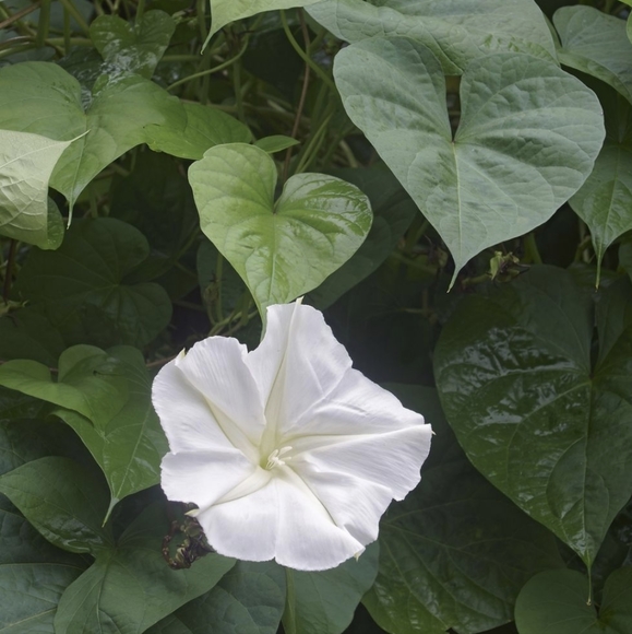 ⚠️FINAL PRICE/LAST CHANCE ITEMS⚠️ - Picture 1 of 1